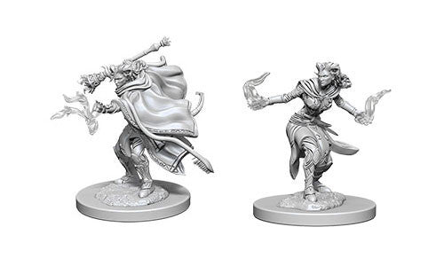 WizKids 73389 Tiefling Warlock Female | Grognard Games