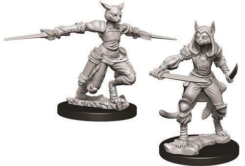 WizKids 737088 NMM Tabaxi Rogue | Grognard Games