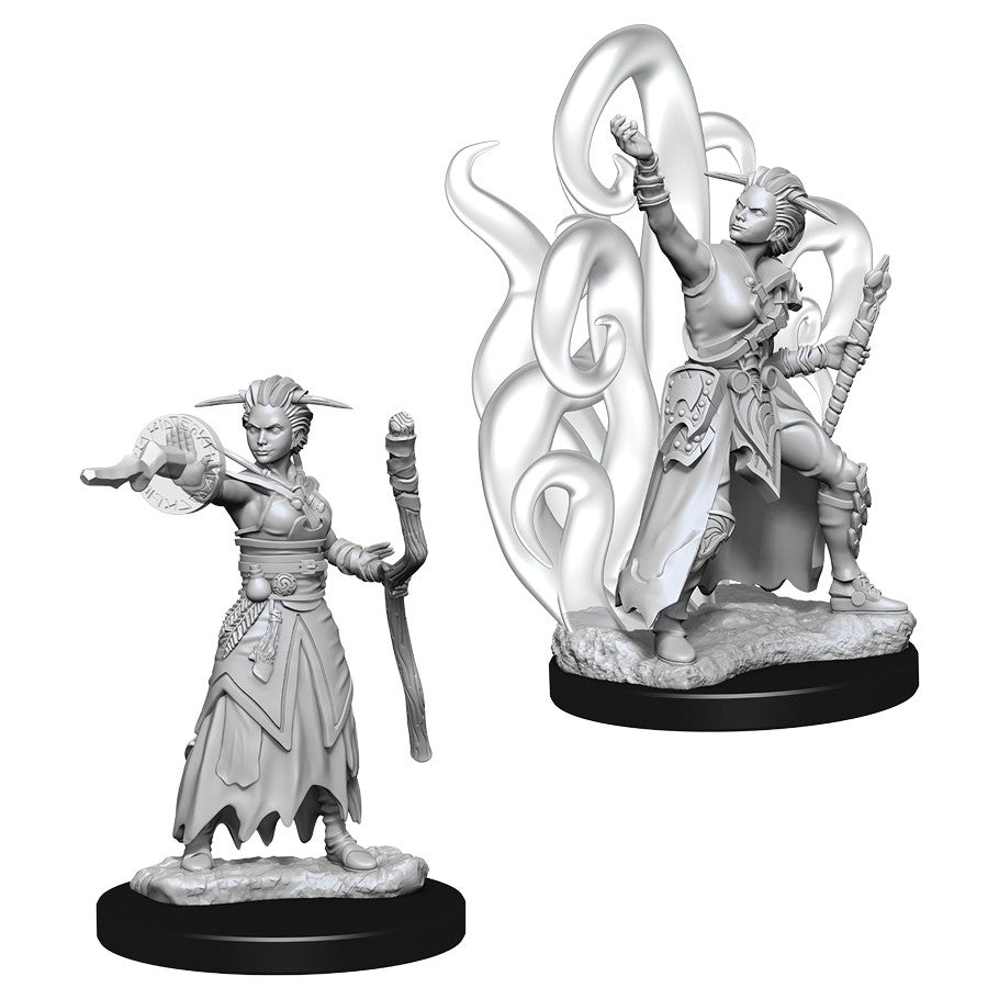 WizKids 738375 Human Warlock | Grognard Games