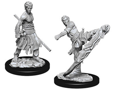 WizKids 738382 Half-Elf Monk | Grognard Games