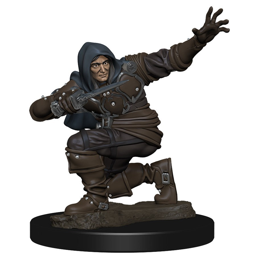 WizKids 775004 Pathfinder Premium Human Male Rogue | Grognard Games