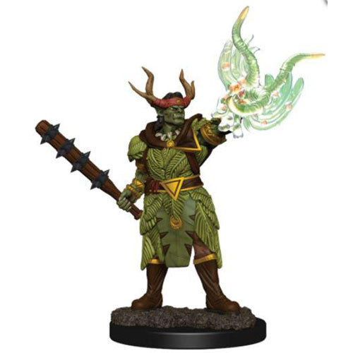 WizKids 775110 Pathfinder Premium Male Half-Orc Druid | Grognard Games