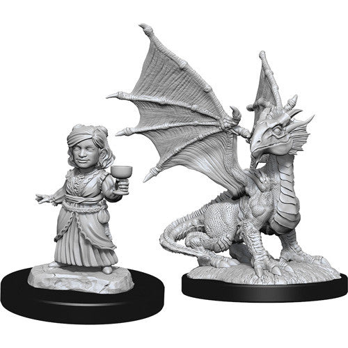 Wizkids 901533 Silver Dragon Wyrmling & Dragon Friend | Grognard Games