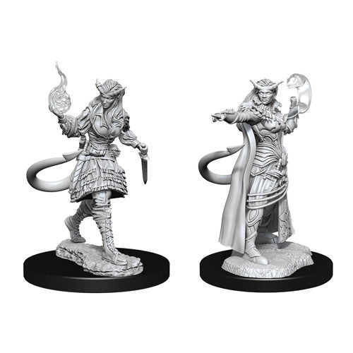 Wizkids 903049 Female Tiefling Sorcerer | Grognard Games